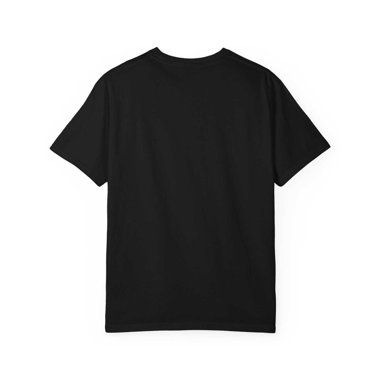 Backdoor Unisex Garment-Dyed T-shirt
