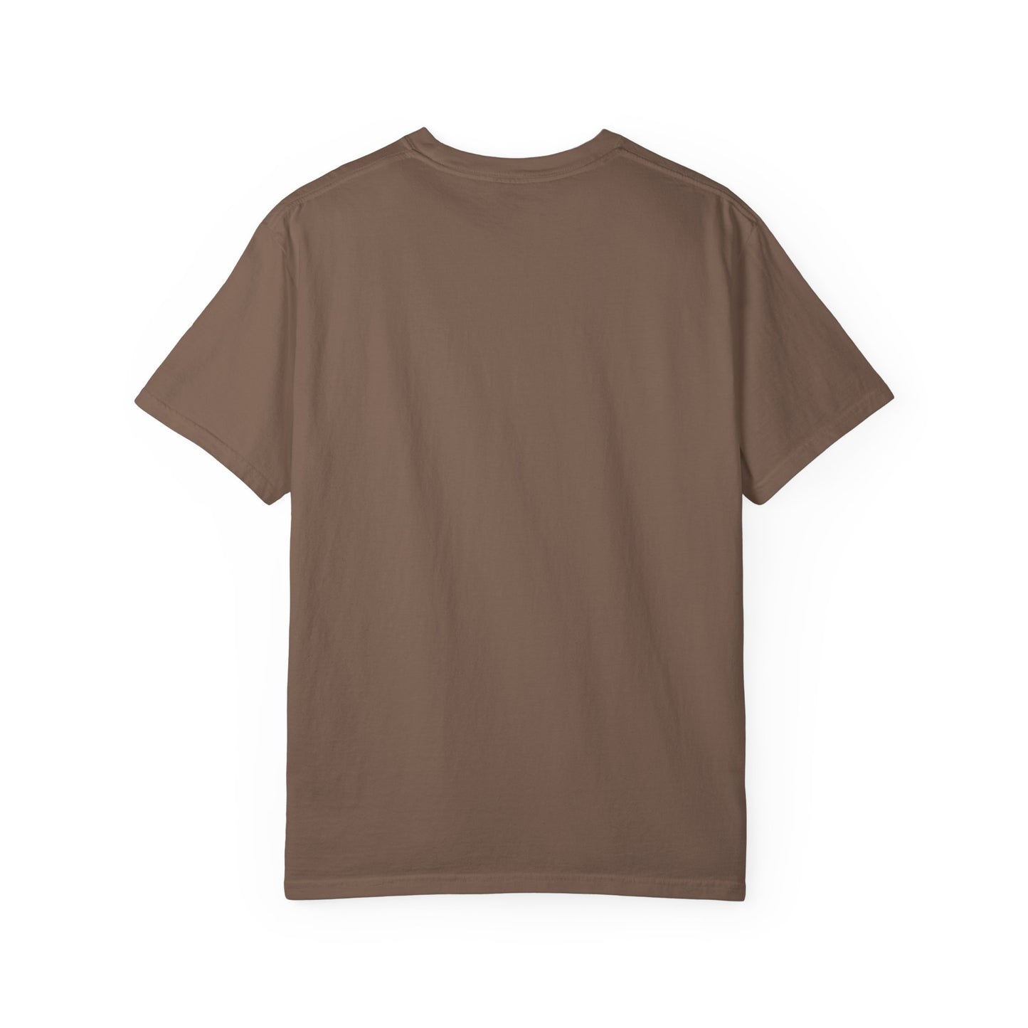 Alien Probing Unisex Garment-Dyed T-shirt