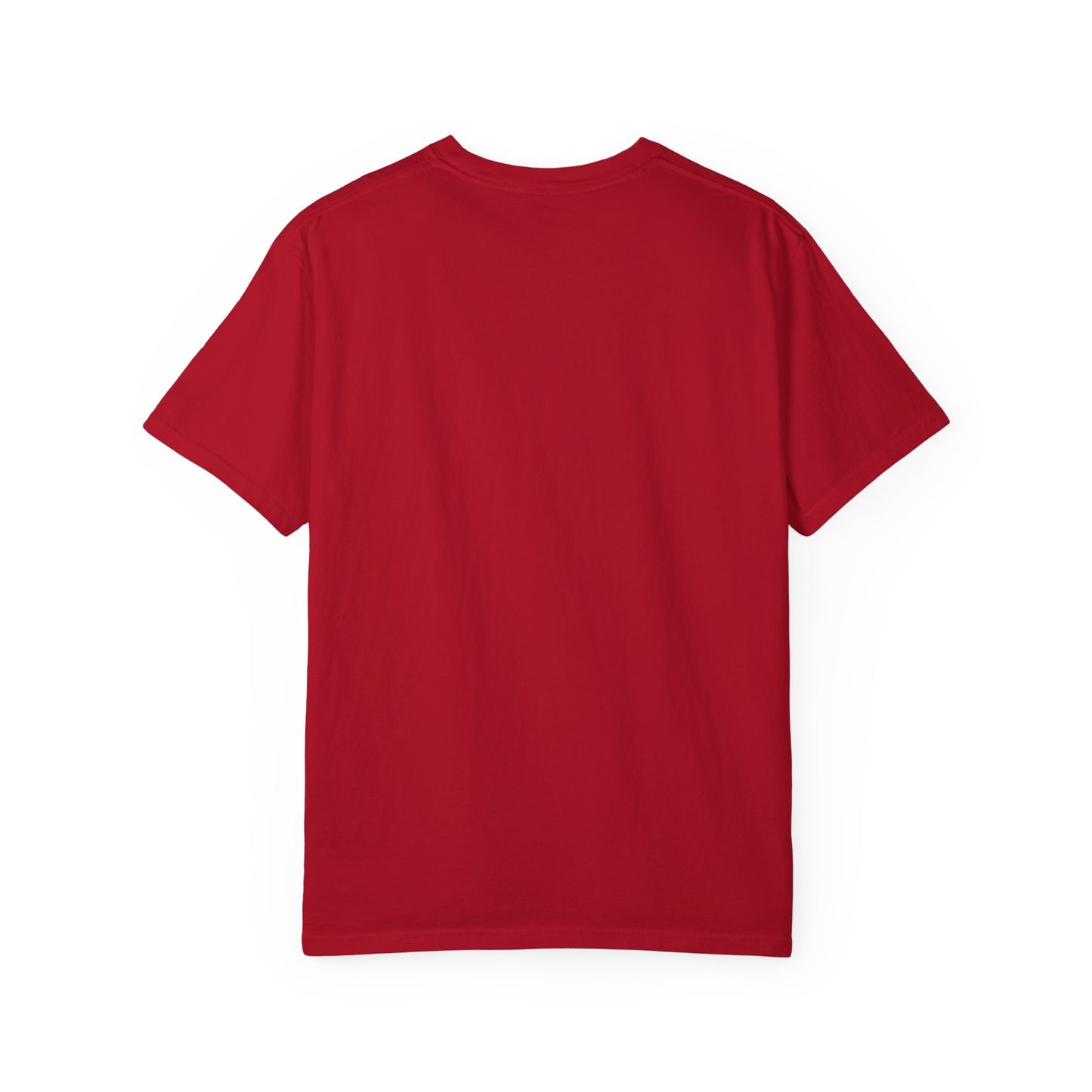 Alien Probing Unisex Garment-Dyed T-shirt