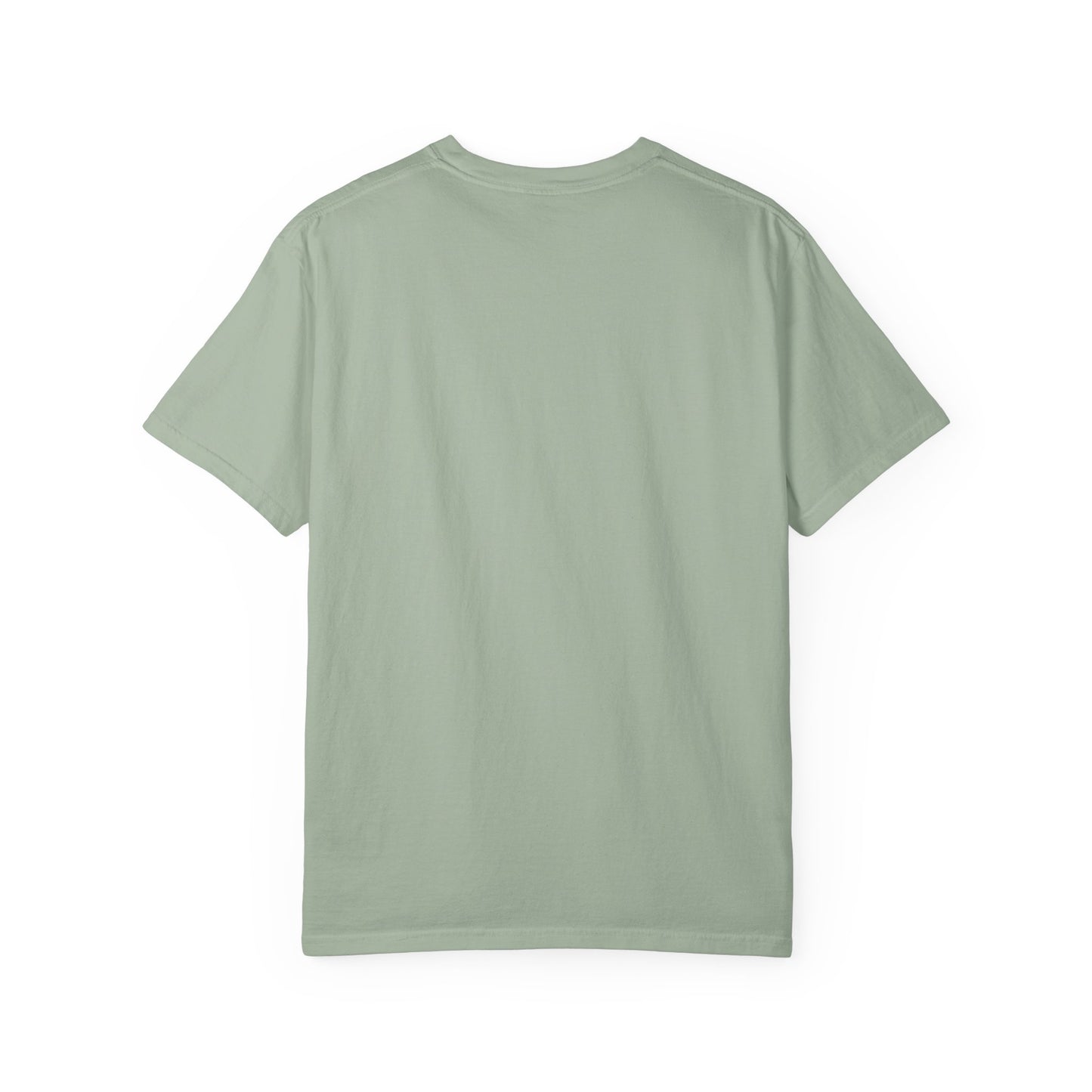 Can I Take Him Home? Unisex Garment-Dyed T-shirt