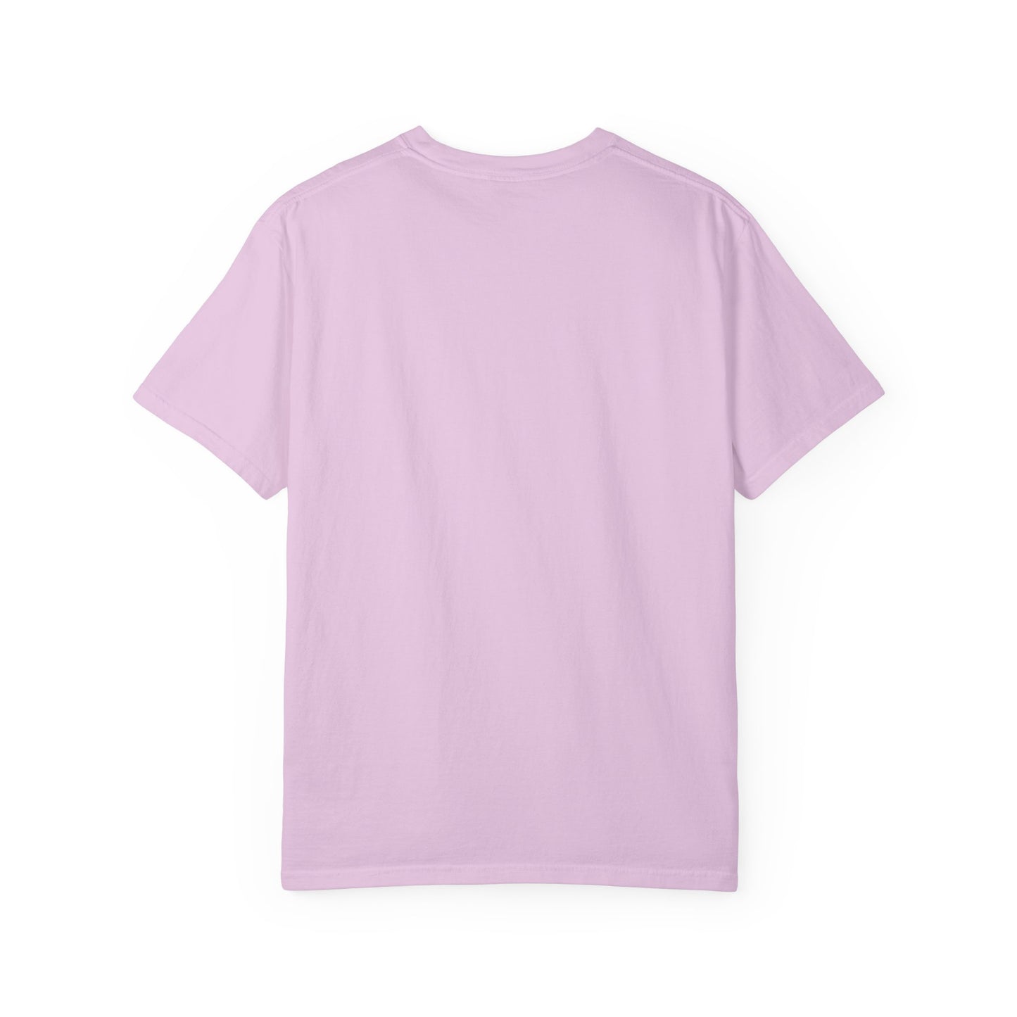 Backdoor Unisex Garment-Dyed T-shirt